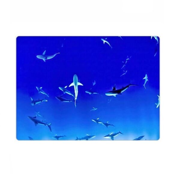 Blue Ocean Sharks Magnet - Picture 4 of 5